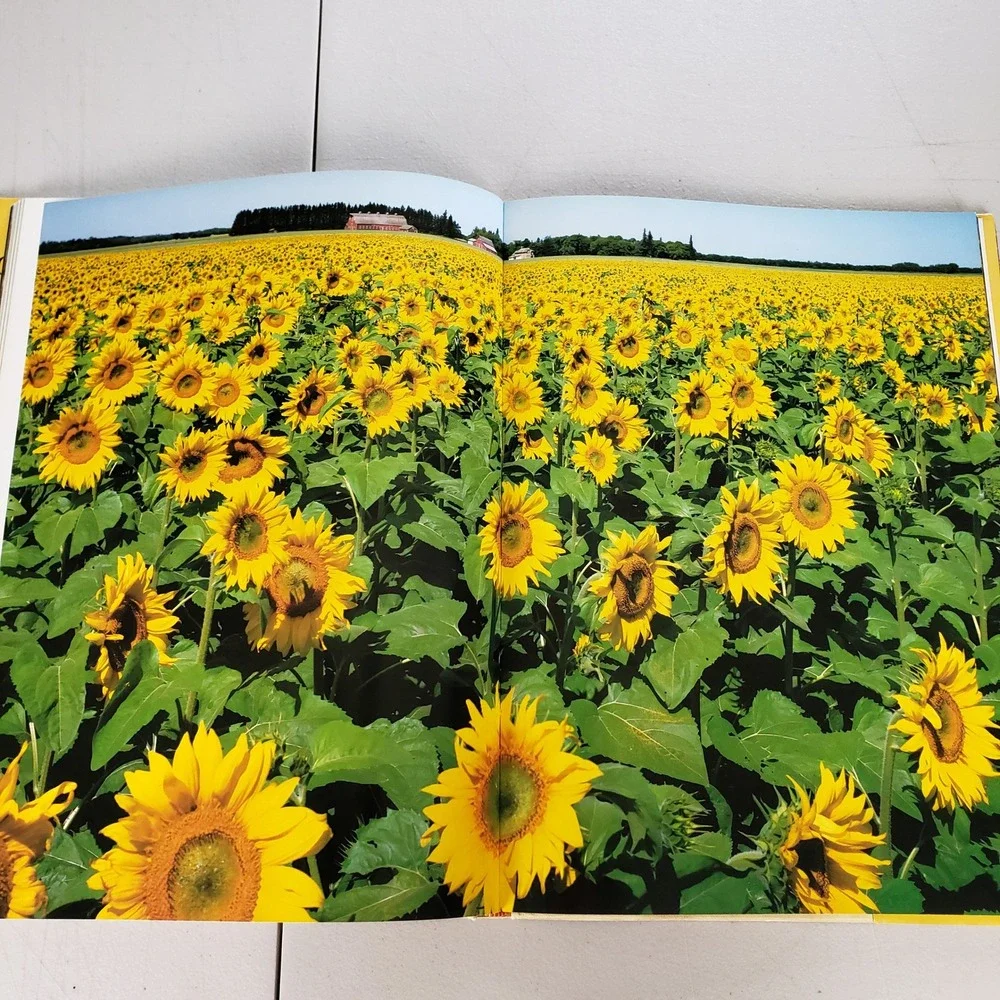Our Beautiful Land CANADA Rupert O Matthews 1989 Hardcover Photography Book